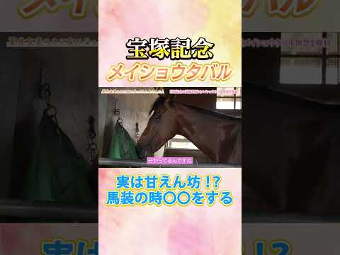 競馬 宝塚記念 メイショウタバル サムネイル