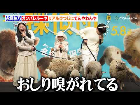永尾柚乃＆ガンバレルーヤ、リアルひつじにてんやわんや？一夜限りのユニットも結成！？　映画『ひつじ探偵団』公開直前イベント サムネイル