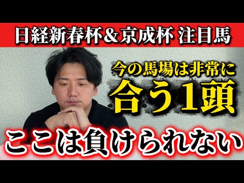 【日経新春杯&京成杯】【予想】ポテンシャル◉馬場傾向◉ 本番に向けて試金石の一戦です サムネイル