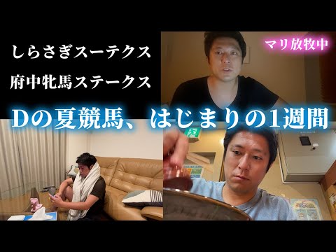 Dの夏競馬、はじまりの1週間！ サムネイル