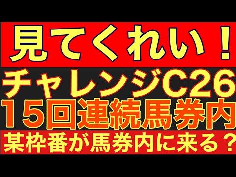 【チャレンジカップ2026サイン①】15回連続馬券内!某枠番が馬券内に来る謎法則!競馬 競馬予想