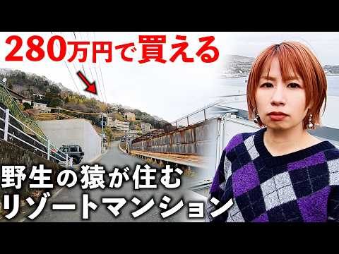 【格安】280万円でリゾマンが買えるサルも住み着く温泉地が凄かった サムネイル