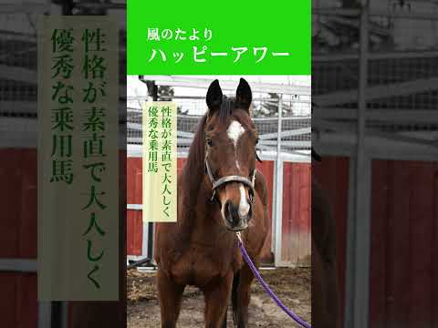 【風のたより】ハッピーアワー サムネイル