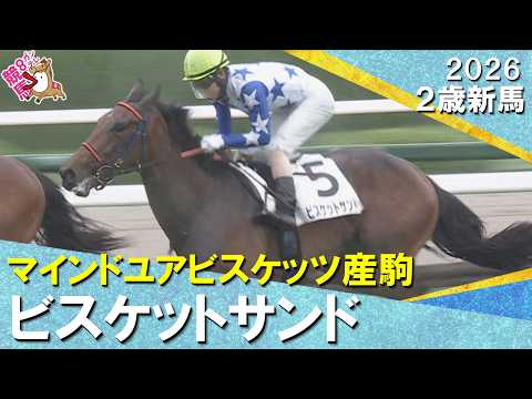 モリアーナの半妹ビスケットサンドがデビュー勝ち！佐藤悠調教師「馬場にも適性を感じていました」2026年6月7日(日)２…