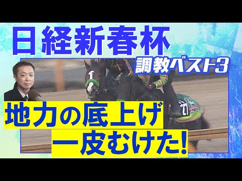 「久々感ない動き！」ゲルチュタール、シャイニングソード、ヤマニンブークリエ・・・競馬エイト・高橋賢司トラックマンの調教…