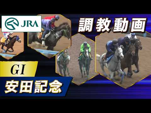【調教動画】2026年 安田記念｜JRA公式 サムネイル