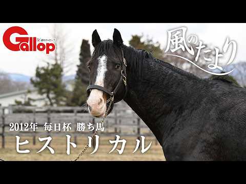 【風のたより】ヒストリカル サムネイル