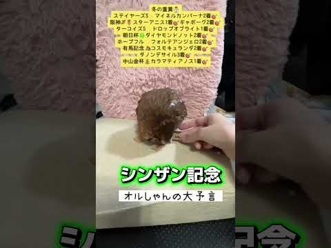 シンザン記念 競馬 shorts サムネイル