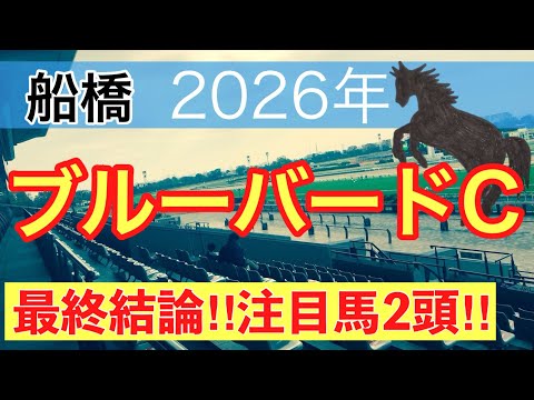 【ブルーバードカップ2026】蓮の地方競馬予想(最終結論) サムネイル