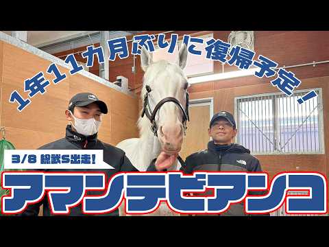 【1年11カ月ぶりの復帰戦へ！】白毛馬アマンテビアンコ サムネイル