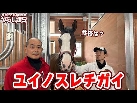 【なぎさの派手顔図鑑】Vol.15ユイノスレチガイ（美浦・深山雅史厩舎） サムネイル