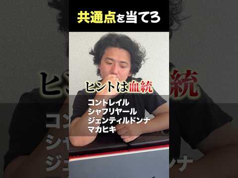 共通点を当てろ!shorts 競馬 クイズ