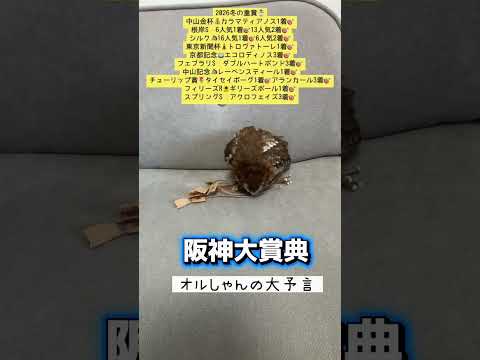 阪神大賞典 競馬 shorts サムネイル