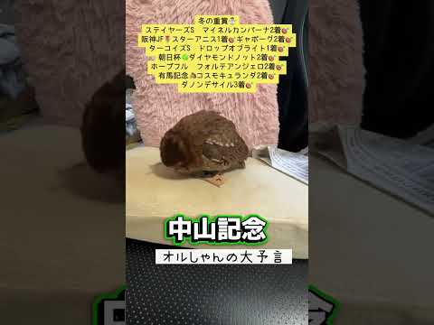 中山金杯 競馬 shorts サムネイル