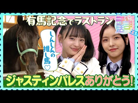 【うま活】しんしんの推し馬が有馬記念でラストラン！ジャスティンパレスありがとう！ サムネイル