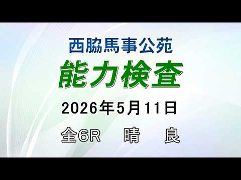 能力検査 2026年5月11日(月) 西脇馬事公苑 サムネイル