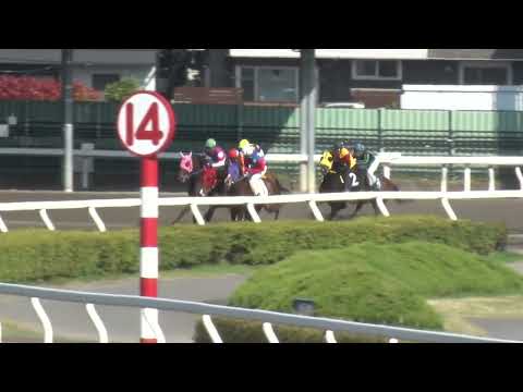 令和8年度第1回浦和競馬 能力調教試験【2026年4月3日】 サムネイル