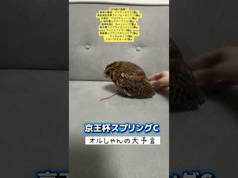 京王杯スプリングカップ 競馬 shorts サムネイル