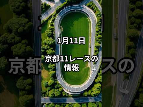 メンバー限定！1月11日の京都11R推奨馬 サムネイル
