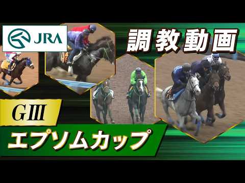 【調教動画】2026年 エプソムカップ｜JRA公式 サムネイル