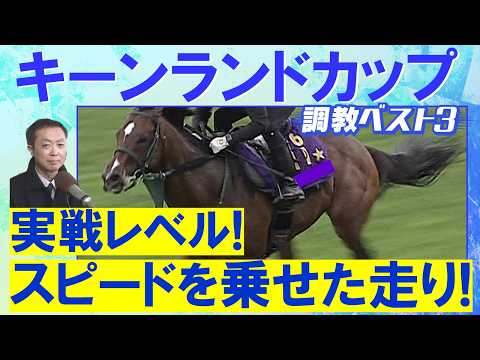 「GⅠレベルの仕上がり!」パンジャタワー、ロジケープ、ナムラクララ・・・競馬エイト・高橋賢司トラックマンの調教解説<キ…