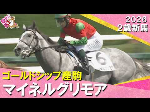 【芦毛のゴールドシップ産駒】マイネルグリモアがまくってデビュー勝ち！国分恭介騎手「まだまだ奥がある馬」2026年9月1…