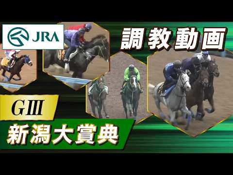 【調教動画】2026年 新潟大賞典｜JRA公式 サムネイル