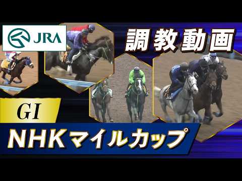 【調教動画】2026年 NHKマイルカップ｜JRA公式 サムネイル