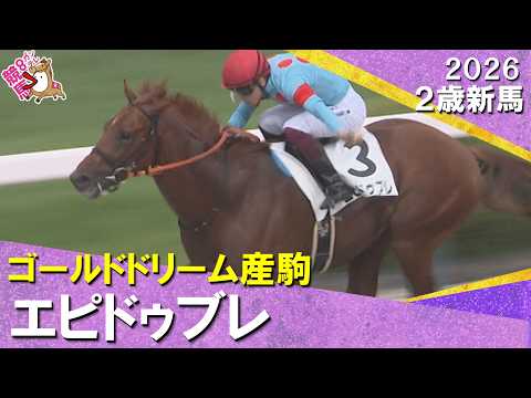 ゴールドドリーム産駒エピドゥブレが断然人気に応えて快勝！高野師「今後も楽しみ」2026年9月12日(土)２歳新馬　阪神…