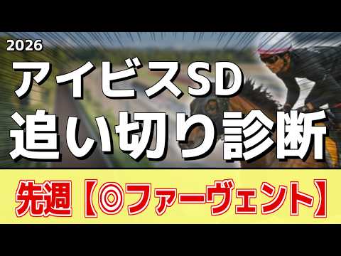 追い切り解説！【アイビスサマーダッシュ2026】ピューロマジック、アメリカンステージなどの状態はどうか？調教S評価は2…