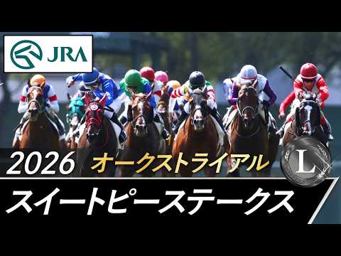 2026年 スイートピーステークス（L） | JRA公式 サムネイル