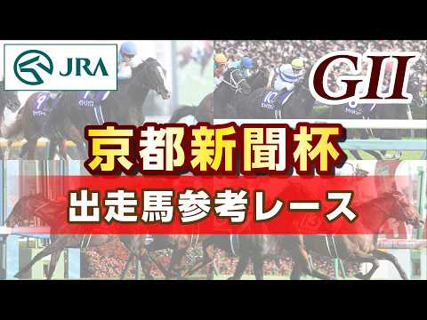 【参考レース】2026年 京都新聞杯｜JRA公式 サムネイル