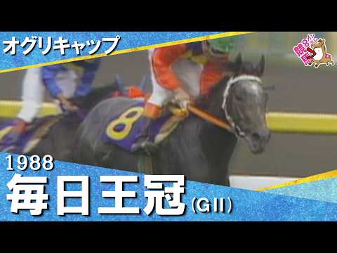 【オグリキャップがJRA重賞6連勝&古馬撃破】1988年毎日王冠(GⅡ) 【カンテレ公式】