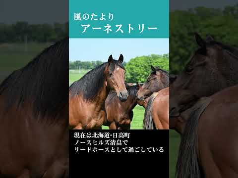 【風のたより】アーネストリー