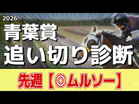 追い切り徹底解説！【青葉賞2026】ブラックオリンピア、ノーブルサヴェージなどの状態はどうか？調教S評価は2頭！ サムネイル