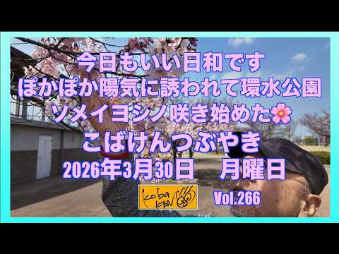 2026年3月30日 月曜日 こばけんつぶやき サムネイル