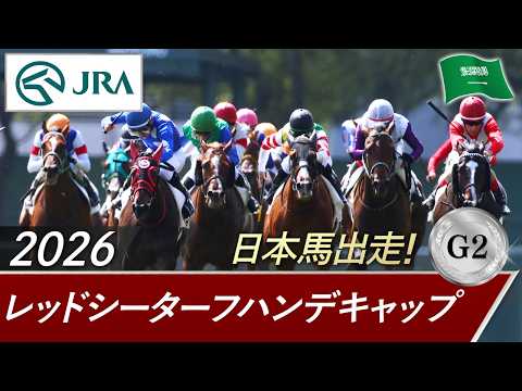 2026年 レッドシーターフハンデキャップ（G2）| JRA公式 サムネイル