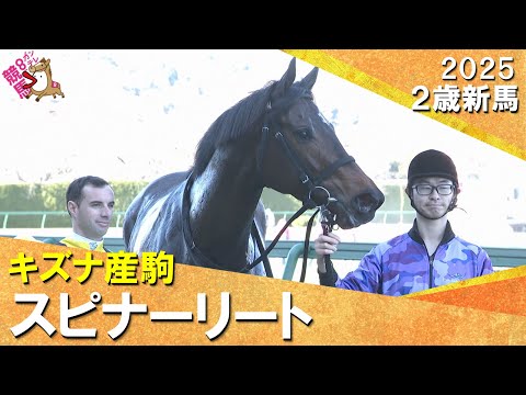８番人気のスピナーリートが逃げ切ってデビュー勝ち！ジェルー騎手JRA初勝利「スッといい位置を取れた」2025年12月2… サムネイル