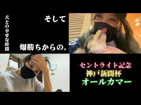 【競馬】イッヌ様とオールカマーに挑んだ女 サムネイル