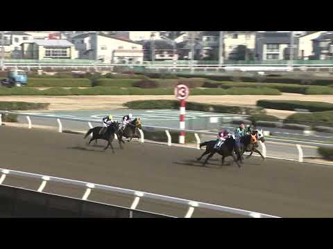 2026年2月28日浦和競馬能力調教試験 サムネイル