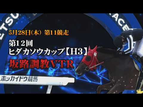 【坂路調教動画】5/28 第11Rヒダカソウカップ【門別競馬】 サムネイル