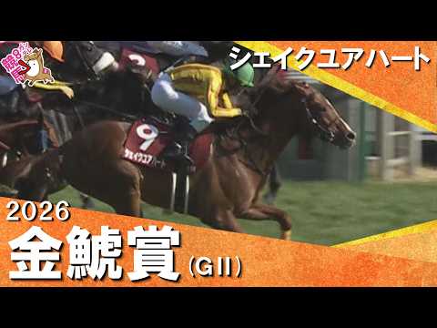 2026年金鯱賞(ＧⅡ) シェイクユアハート【カンテレ公式】 サムネイル
