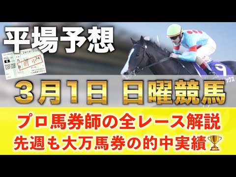 【3月1日土曜競馬予想】想定13番人気122.8倍の超大穴馬を狙い撃つ‼️プロが平場全レース予想を無料公開！【平場予想】 サムネイル