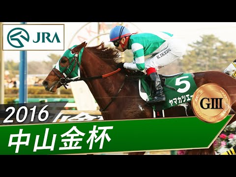 2016年 中山金杯（GⅢ） | ヤマカツエース | JRA公式 サムネイル