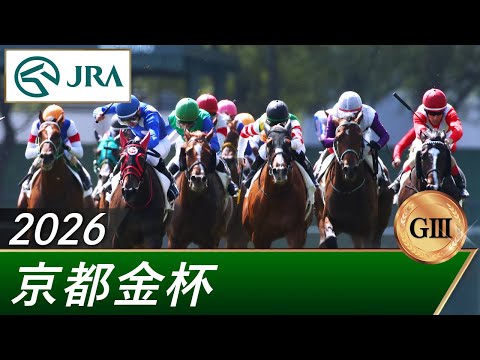 2026年 京都金杯（GⅢ） | 第64回 | JRA公式 サムネイル