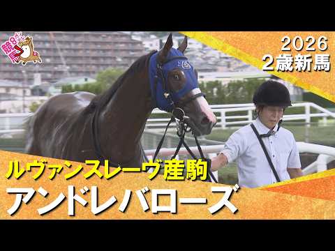 アンドレバローズが2馬身差でデビュー勝ち!岩田望来騎手「今後の精神面に期待したい」2026年9月19日(土)2歳新馬…