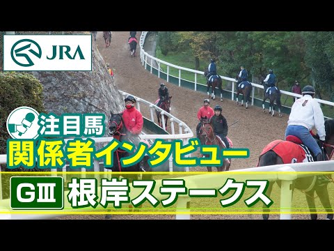 【注目馬 関係者インタビュー】2026年 根岸ステークス｜JRA公式 サムネイル