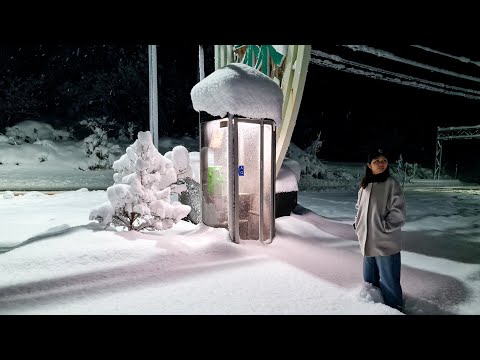 【富山】今年最後に大雪警報で大変なことになった サムネイル