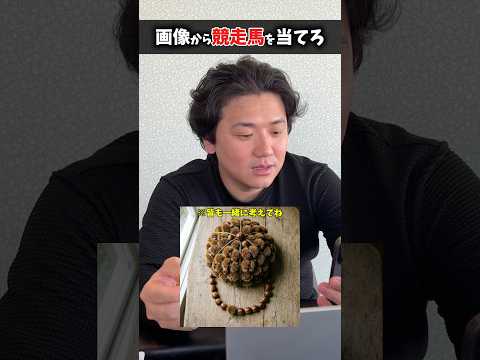 画像から競走馬を当てろ！shorts 競馬 日本ダービー サムネイル