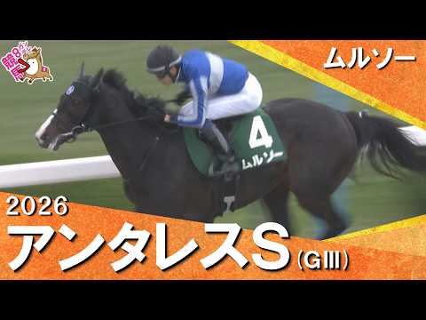 2026年アンタレスステークス(ＧⅢ) ムルソー　実況：服部優陽 【カンテレ公式】 サムネイル